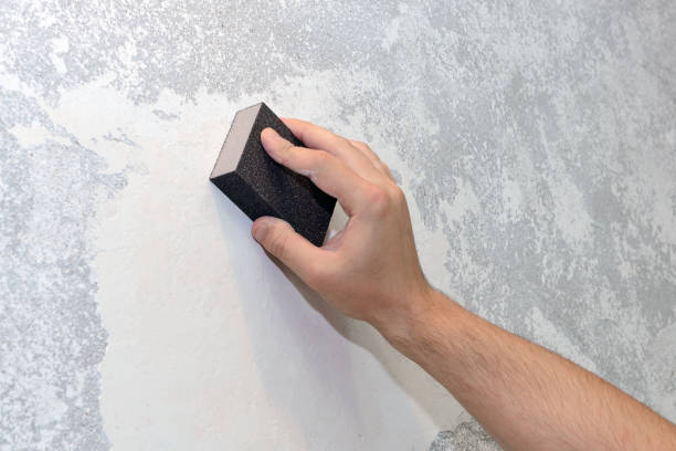Best Mold Documentation for Insurance Claims  in Coal Run Village, KY