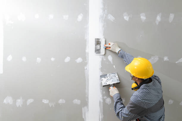Best Mold Damage Restoration  in Coal Run Village, KY
