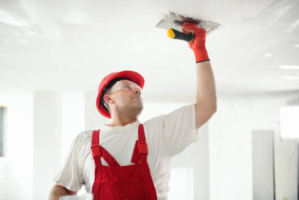 Best Dehumidification Services  in Coal Run Village, KY