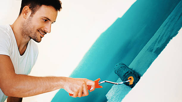Best Post-Construction Mold Inspection  in Coal Run Village, KY
