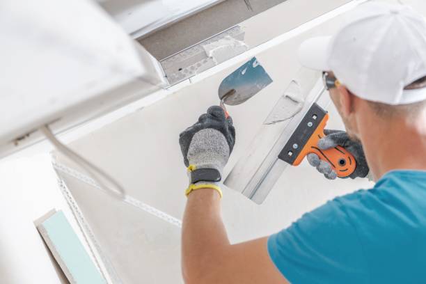 Best Environmental Consulting for Mold Prevention  in Coal Run Village, KY